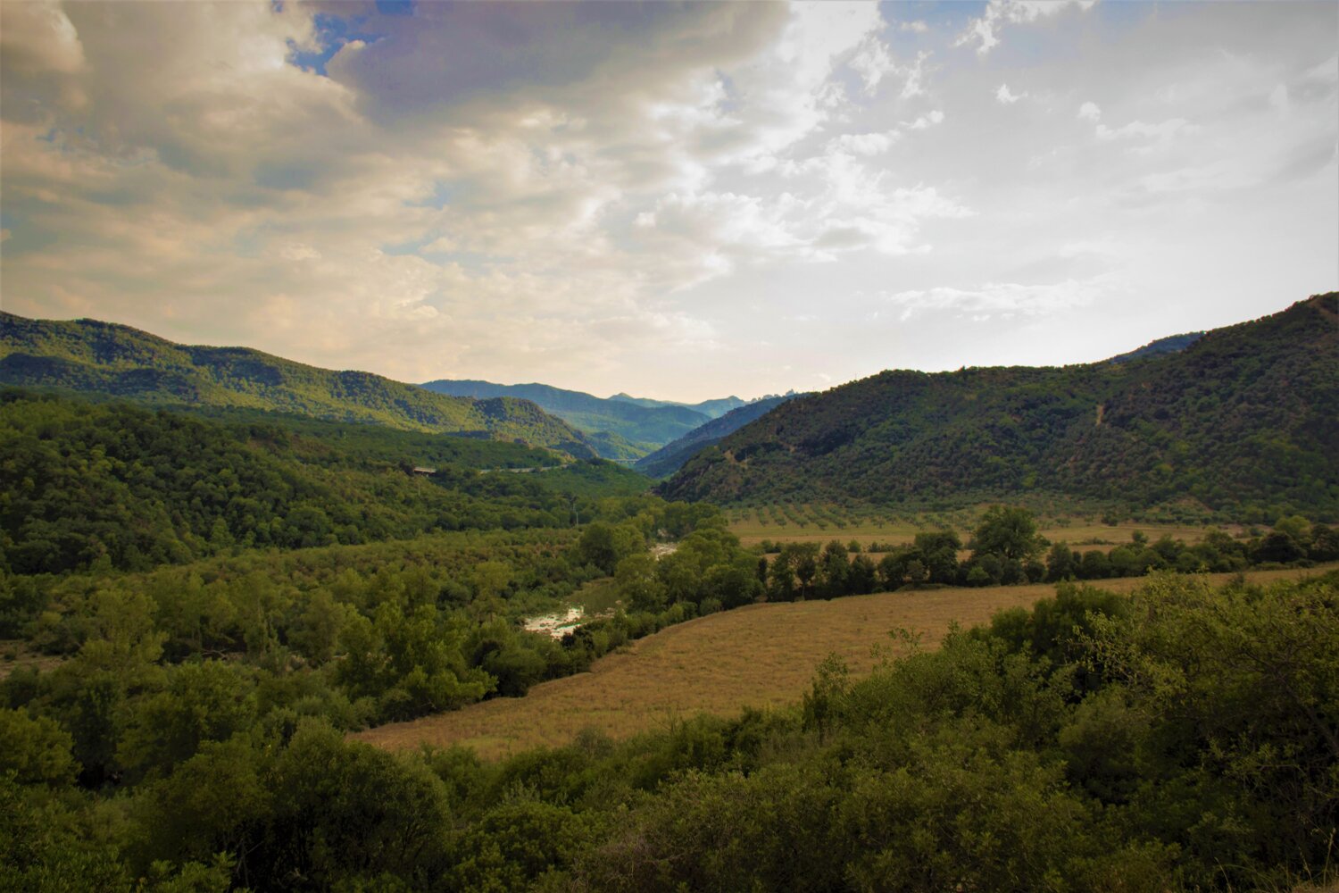 Bottiglia di Olio EVO Biologico Mantenera Presidio Slow Food